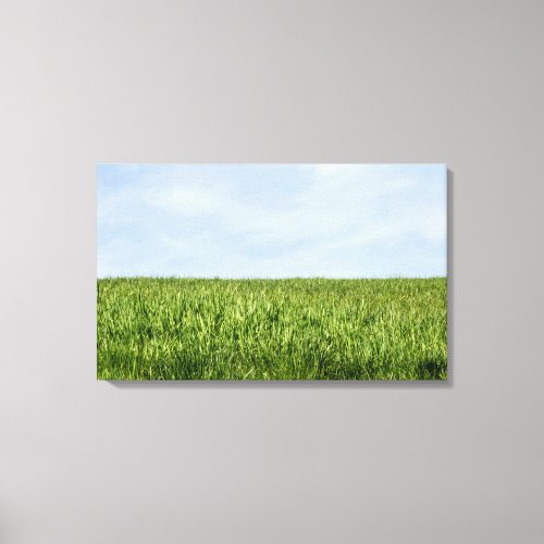 Blue Sky And Green Grass Canvas Print