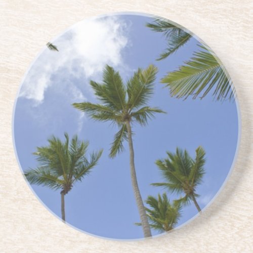 Blue Sky and Palm Trees Coaster