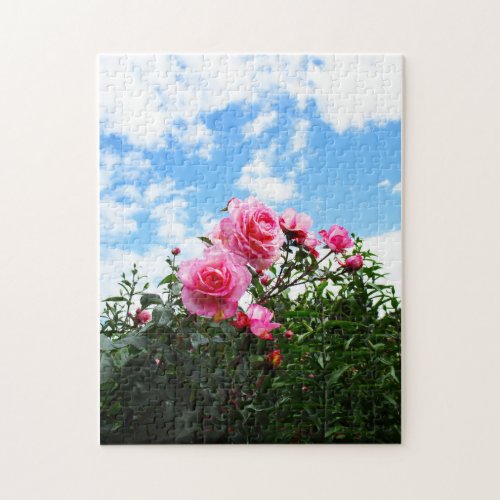 Blue Sky and Pink Roses Jigsaw Puzzle