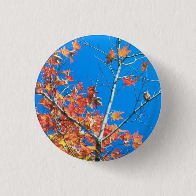 Blue Sky Autumn Tree Button (Front)