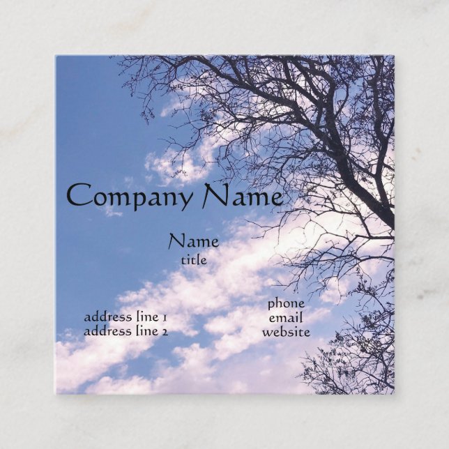 Blue Sky Business Cards (Front)