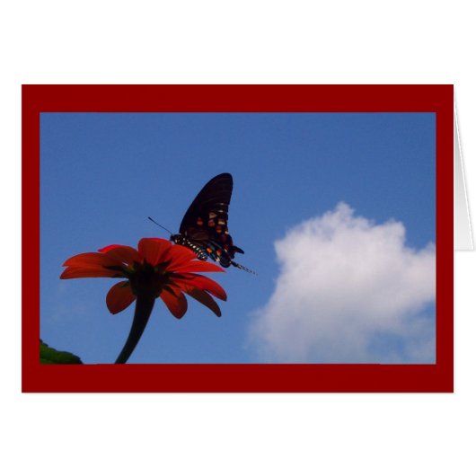 Blue Sky Butterfly! Cards (Front Horizontal)