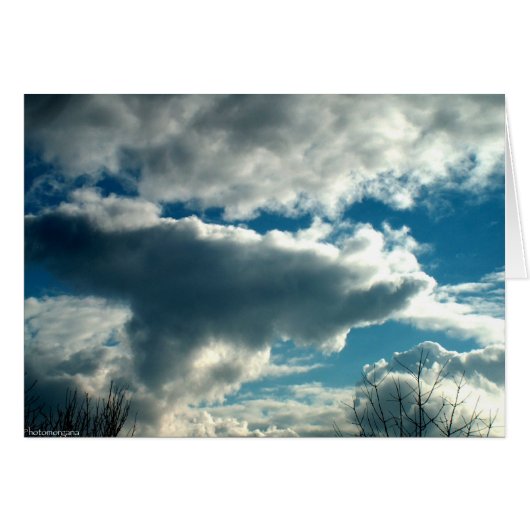 Blue Sky Cards (Front Horizontal)
