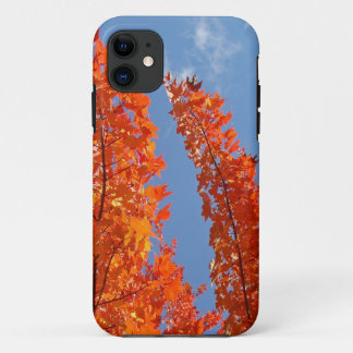 Blue Sky Cell Phone covers Orange Fall Leaves
