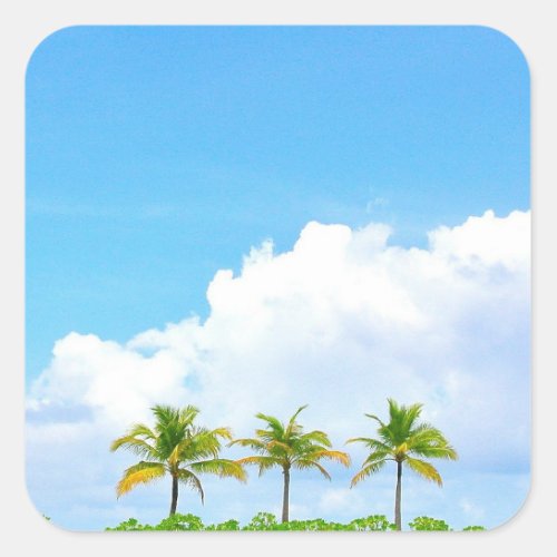 Blue Sky Clouds And Palms Blank Template Square Sticker