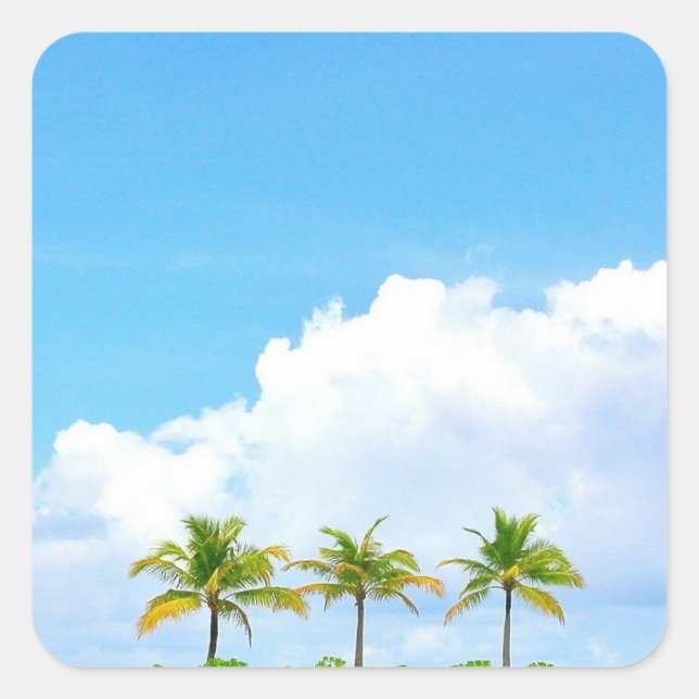 Blue Sky Clouds And Palms Blank Template Square Sticker (Front)