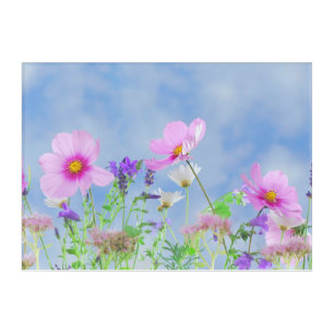 Blue Sky Field of Wildflowers Pastel Floral Photo Acrylic Print