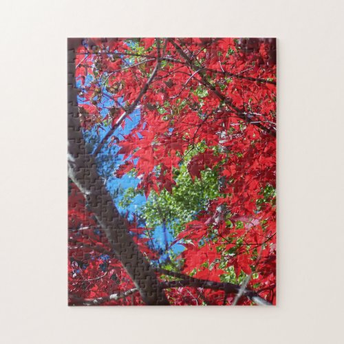 Blue Sky in Autumn Puzzle Gift Fall Maple Leaves