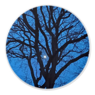 Blue Sky Night Tree  Ceramic Knob