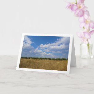 Blue Sky Orchard Landscape Card