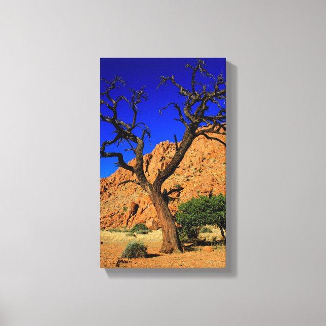 Blue Sky Red Soil Tree Namibia Canvas Print (Front)