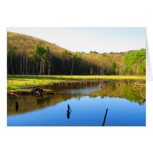 Blue Sky Reflection Cards (Front Horizontal)