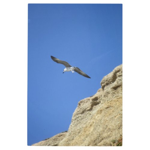 Blue Sky Seagull in Flight Rocks Soaring Bird Metal Print
