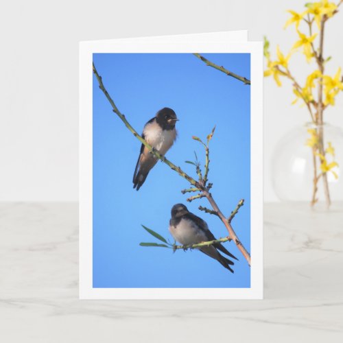 Blue Sky Swallow Birds Portrait Card