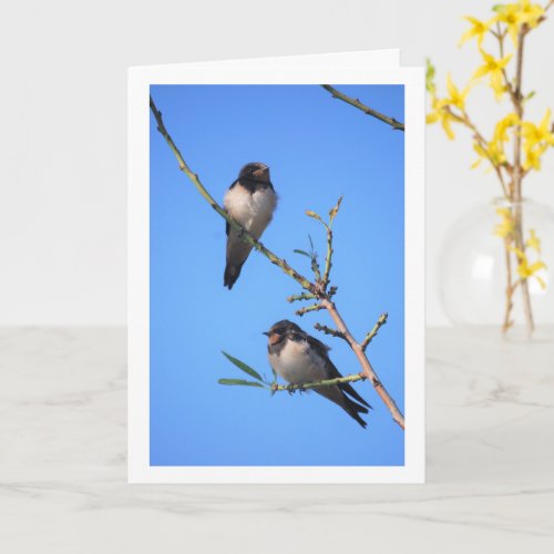 Blue Sky Swallow Birds Portrait Card