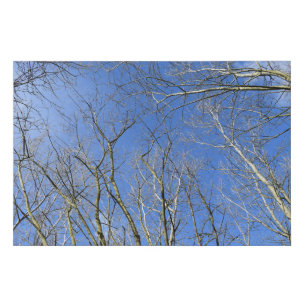 Blue Sky, Trees in Winter Faux Canvas Print