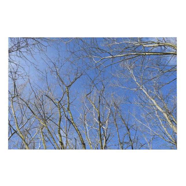 Blue Sky, Trees in Winter Faux Canvas Print (Front)