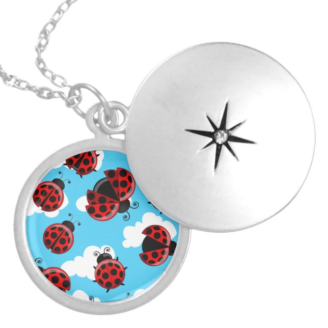 Blue Sky White Clouds Red Ladybug Beetle Insect Locket Necklace (Front)