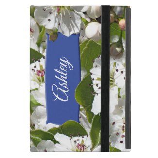 Blue Sky White Spring Flowers