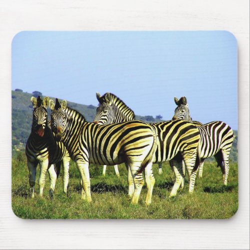 Blue Sky Zebra Wildlife Photography Mouse Pad