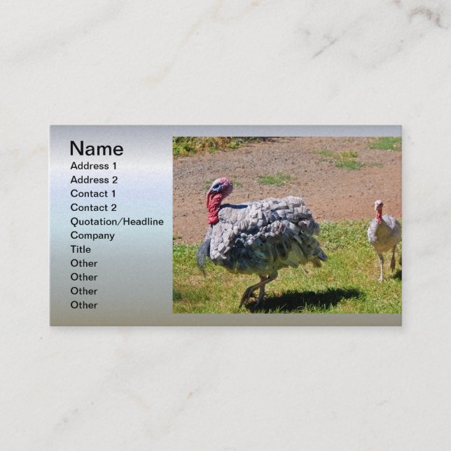 Blue Slate Thanksgiving Day Turkey Business Card (Front)