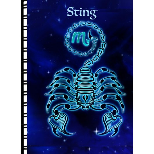 Blue Snail Taurus Zodiac Telephone Address Book (Front)