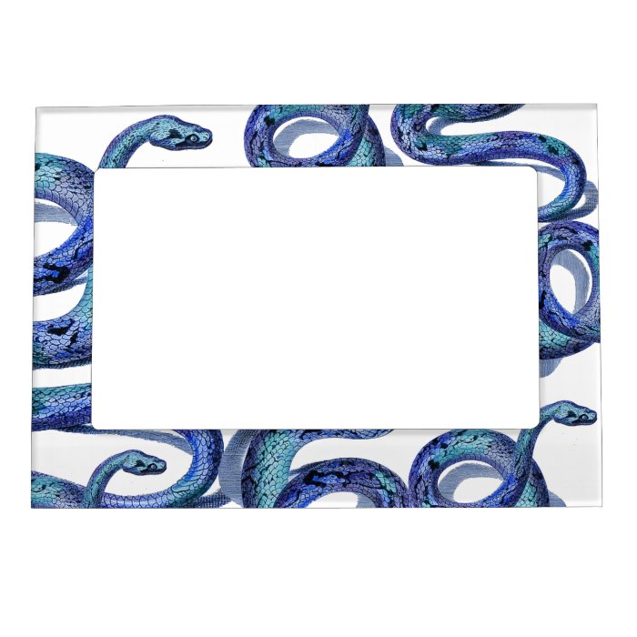 Blue Snakes Graphic Art Design Fridge Magnet Frame Magnetic Photo Frames