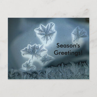 Blue Snow Postcard