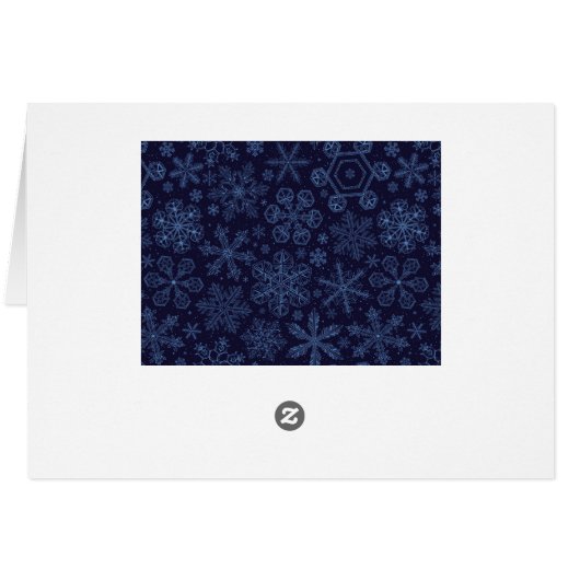 Blue Snowflakes on blue (Back Horizontal)