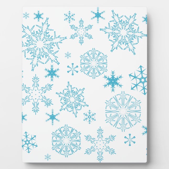blue snowflakes plaque (Front)