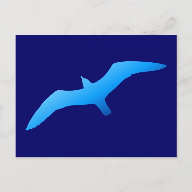 Blue Soaring Gull Postcard (Front)