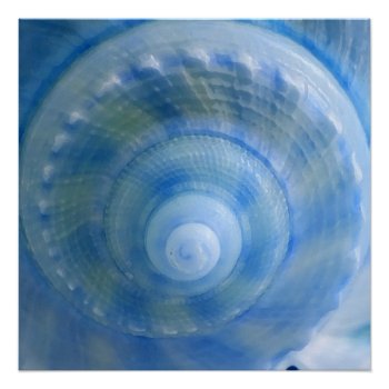 Blue Spiral Seashell Perfect Poster by bluerabbit at Zazzle
