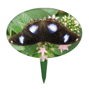 Blue Spotted Butterfly Cake Pick