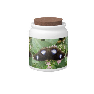 Blue Spotted Butterfly Candy Jar