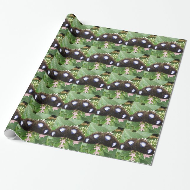 Blue Spotted Butterfly Wrapping Paper (Unrolled)