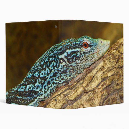 Blue_Spotted Tree Monitor Varanus Macraei Binder