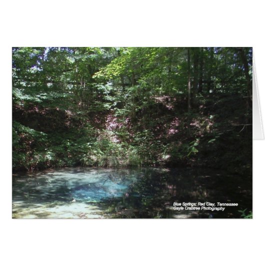 Blue spring at Red Clay Cards (Front Horizontal)