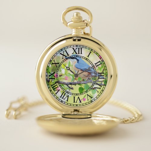 Blue spring bird pocket watch