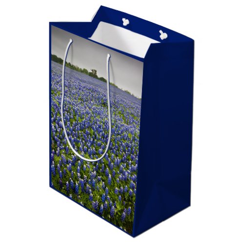 Blue Spring Bluebonnet Field Texas State Flower Medium Gift Bag