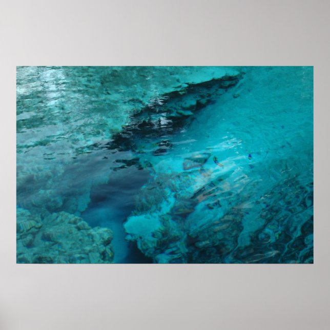 Blue Spring Print (Front)