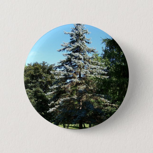 Blue Spruce Button (Front)