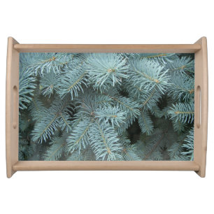 Blue spruce gray blue evergreen nature photo serving tray