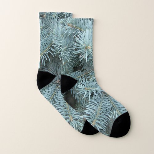 Blue spruce gray blue winter conifer tree socks