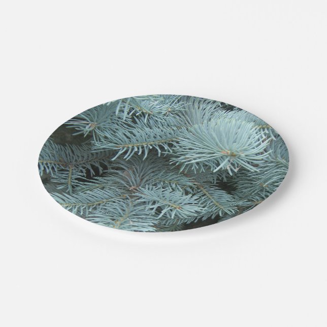Blue spruce gray green rustic nature paper plates (Angled)