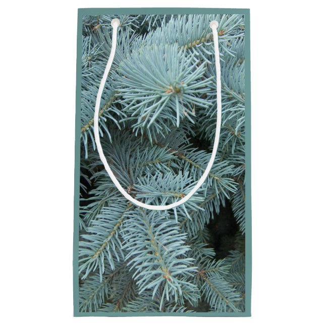Blue spruce gray green tree gift bag (Front)