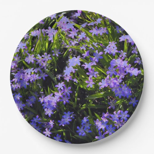 Blue Squill Spring Flowers Dinner Plate