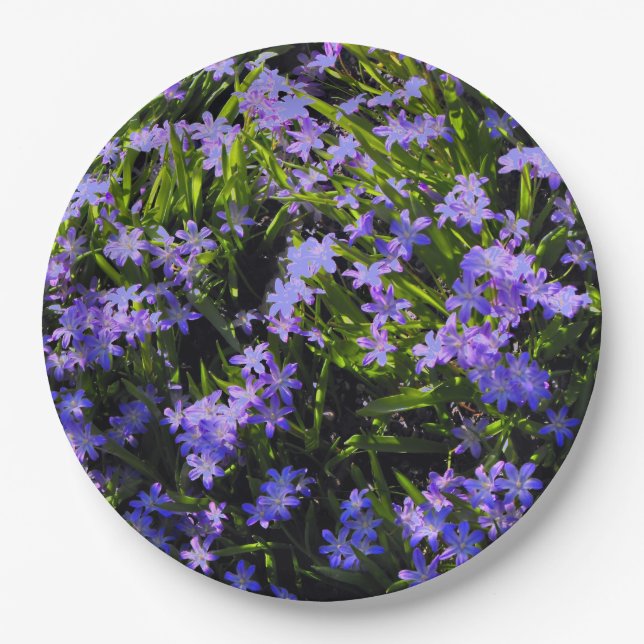 Blue Squill Spring Flowers Dinner Plate (Front)