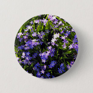 Blue Squill Spring Flowers Pinback Button