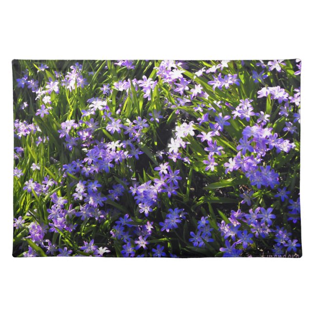 Blue Squill Spring Flowers Placemat (Front)