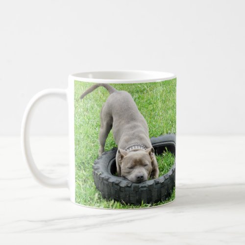 Blue Staffordshire Bull Terrier Play Time Coffee Mug